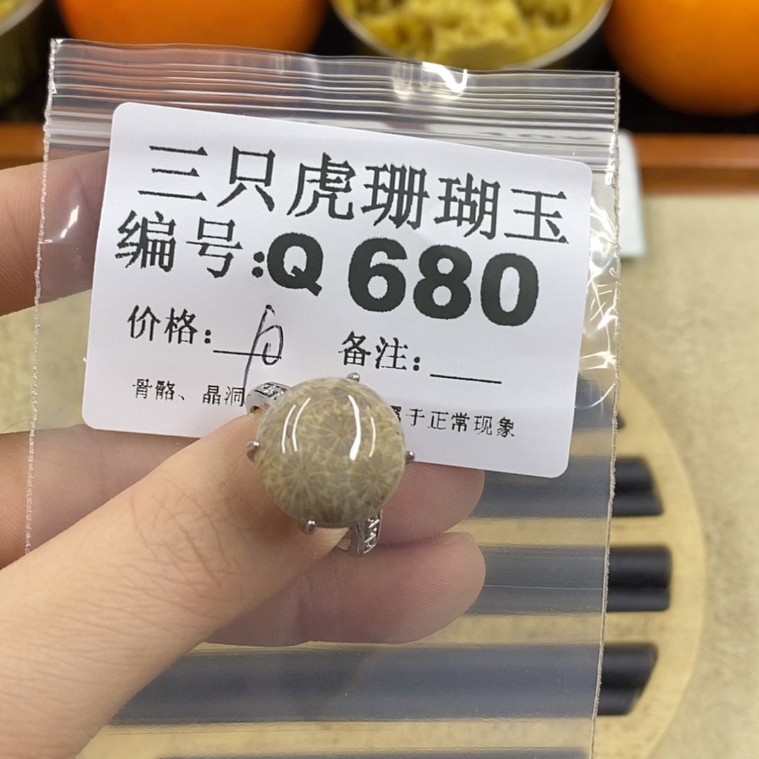 硅化珊瑚（珊瑚玉）1未镶嵌慧****1