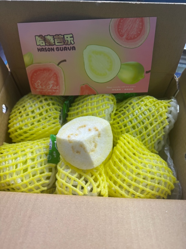 老牛专属 树上熟哈森奶油芭乐约2.5斤个数随机快递包邮
