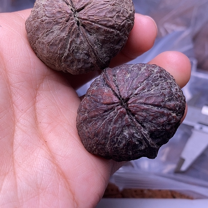 吊坠文玩核桃  166