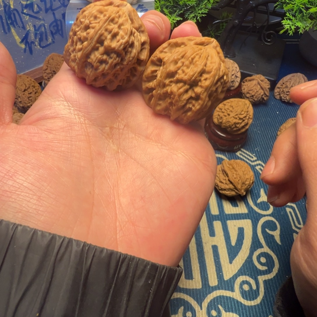 36尺白茬三角白狮子