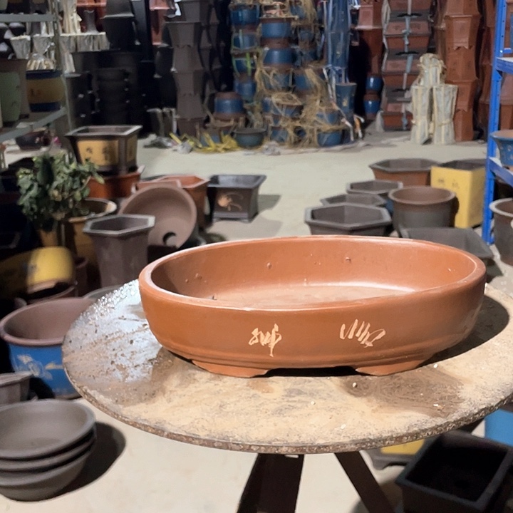 30兰草红椭圆花盆花盆