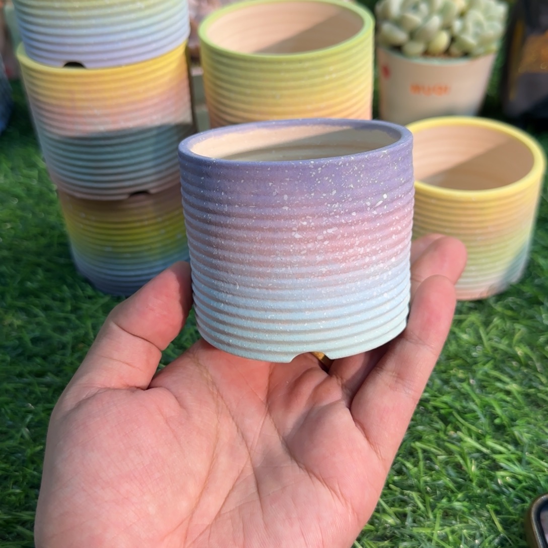 美***林凄凄切切地在一起了吗哈哈笑