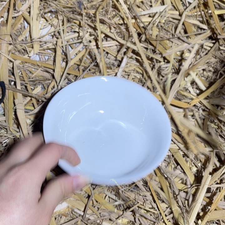 陶摆件景德镇陶瓷