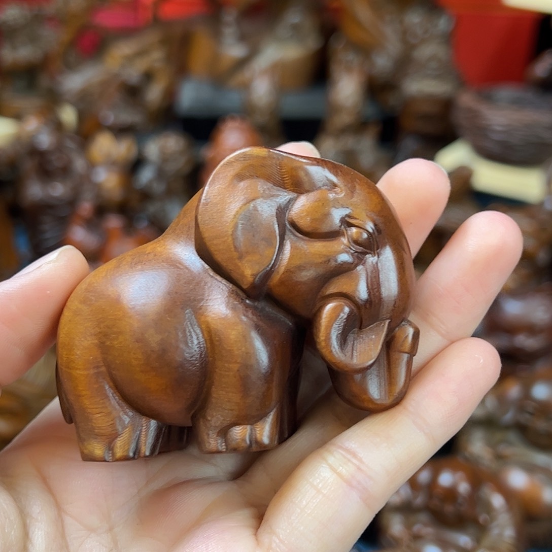 黄杨木小叶黄杨木