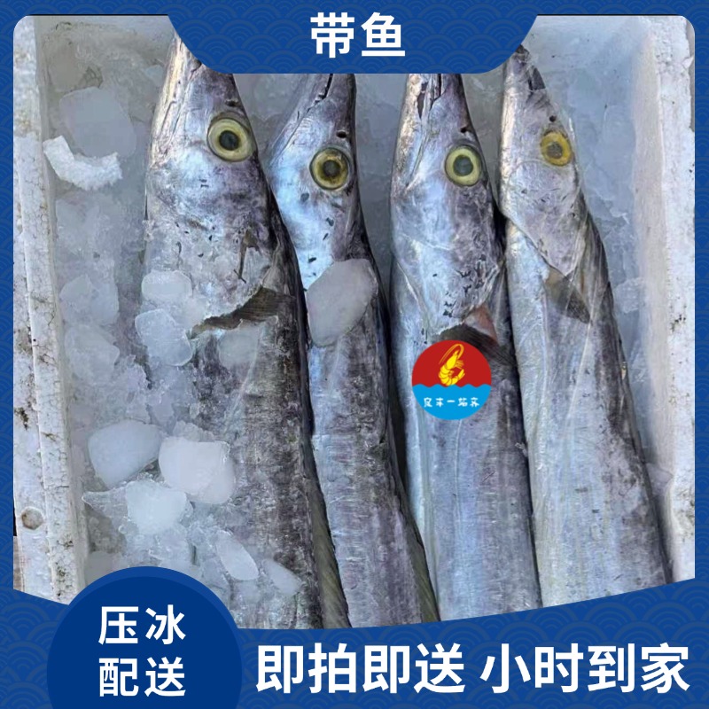 【深海带鱼】冰鲜  约700-800g/条带鱼同城送
