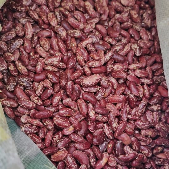 中国大陆寨乐本地花豆10斤装