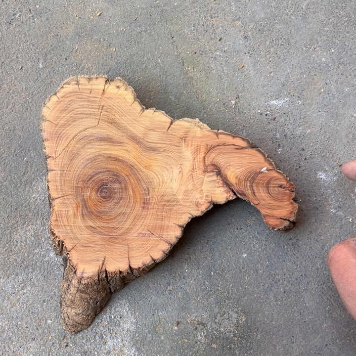 东***君柏木南太行崖柏花蜜香