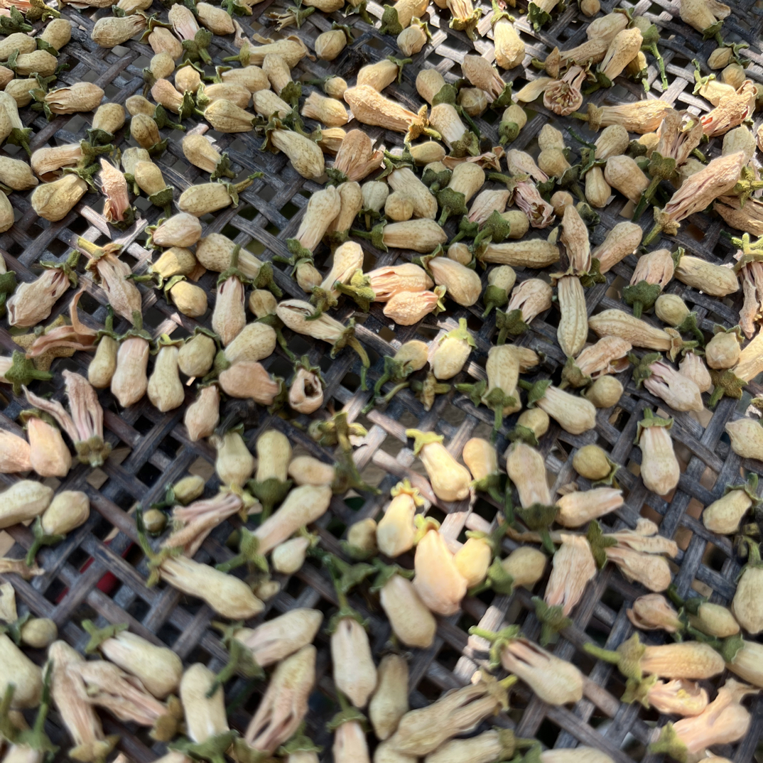 正宗玳玳花中药材代代花新货饱满不碎养生泡水茶干货