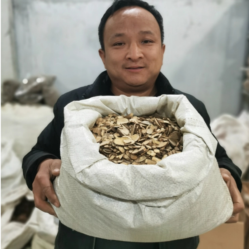 乌药 浙江乌药 台乌药种植的已切片大小断片都有未精选