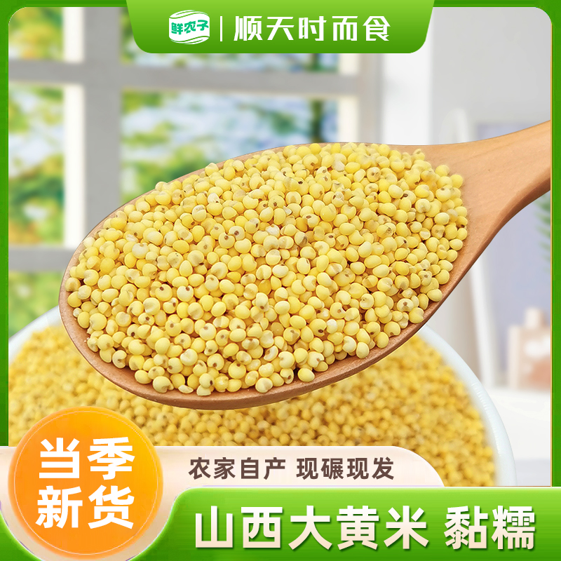 东北农家自产大黄米颗粒饱满营养丰富五谷杂粮