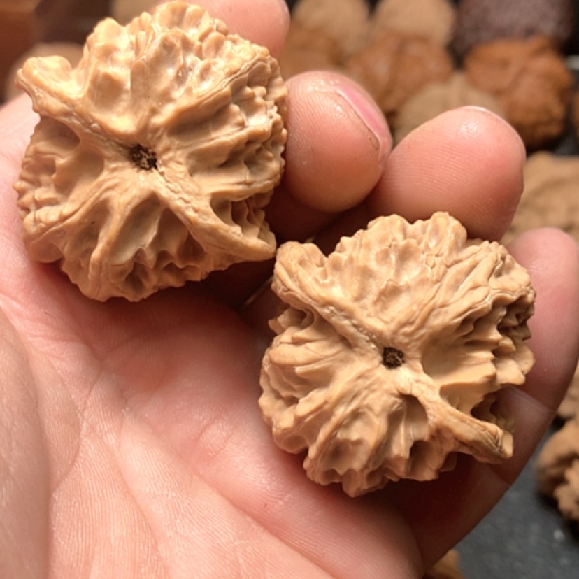 【闪购商品】紫**i苹果园