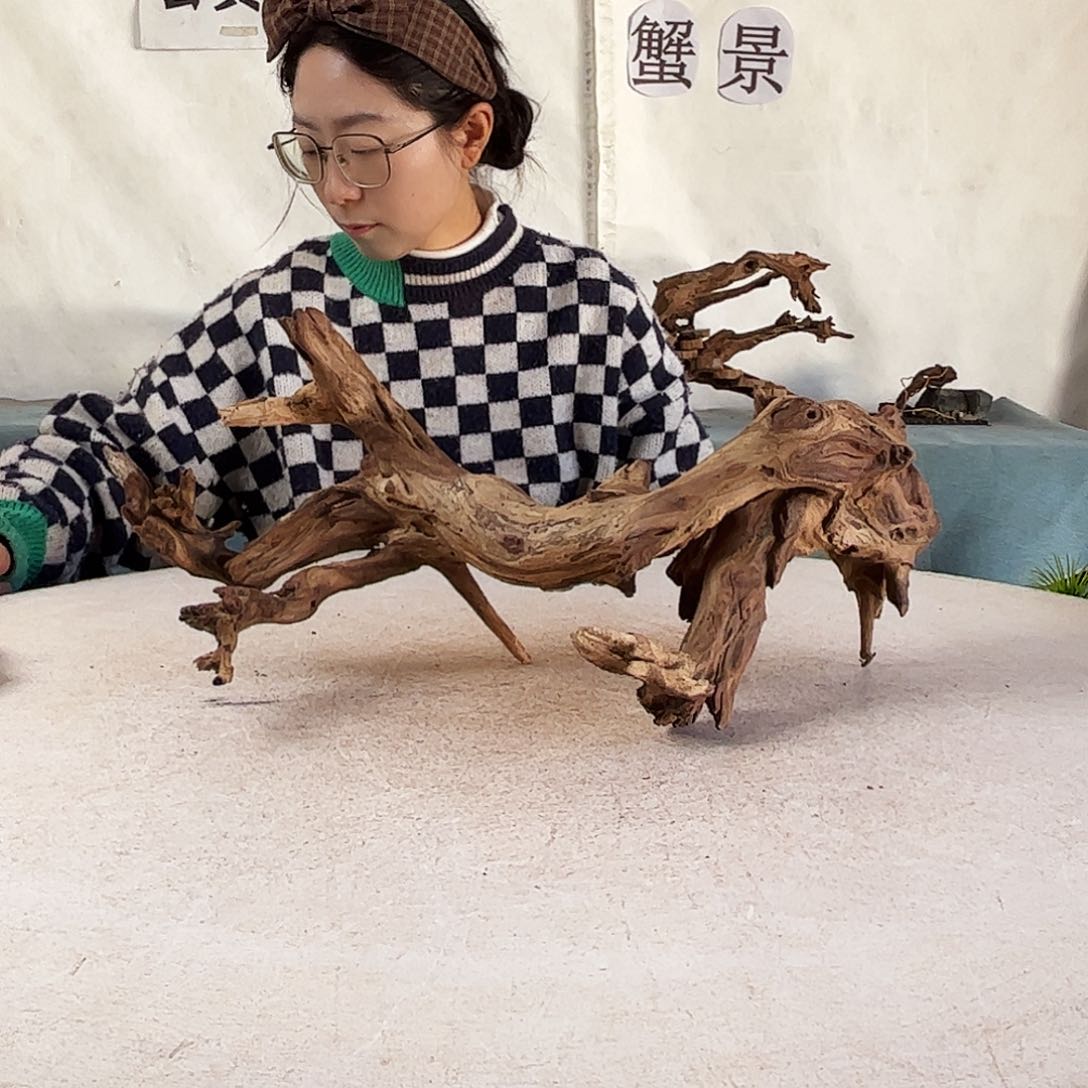 沉木造景爬宠造景