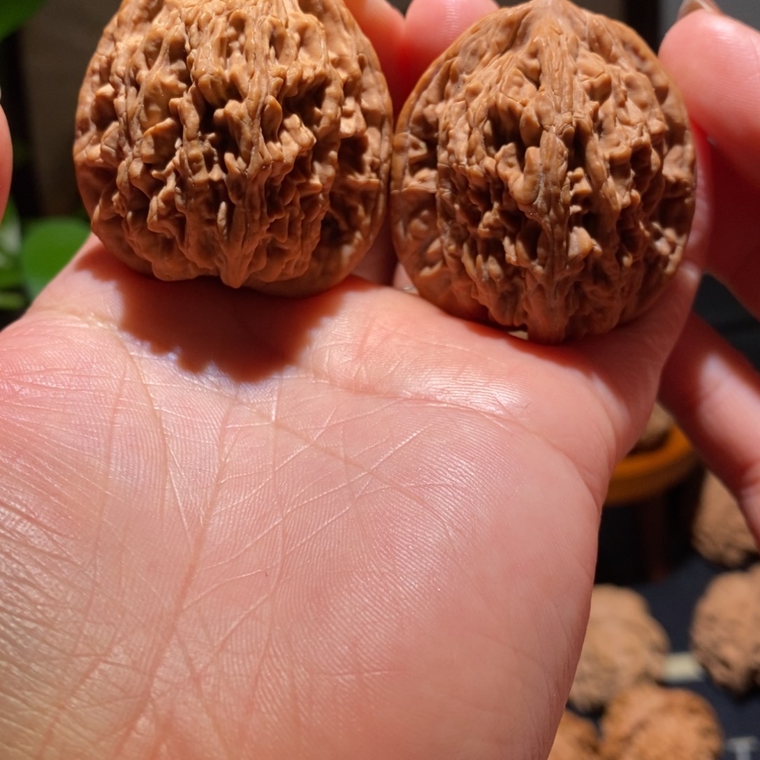 文玩核桃把件麦穗40首单