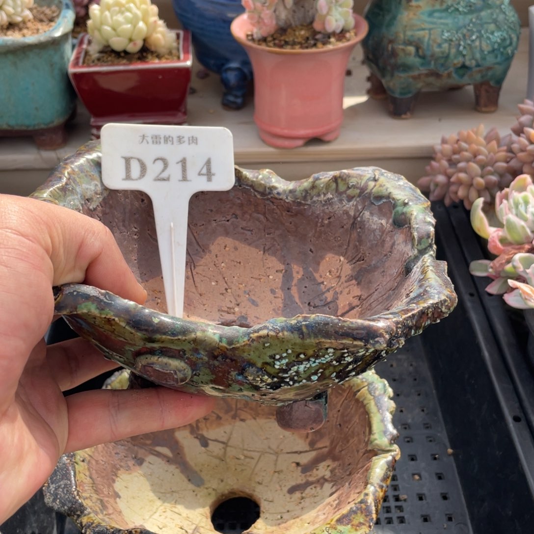 咖***糖214盆啦啦啦啦啦啦啦啦