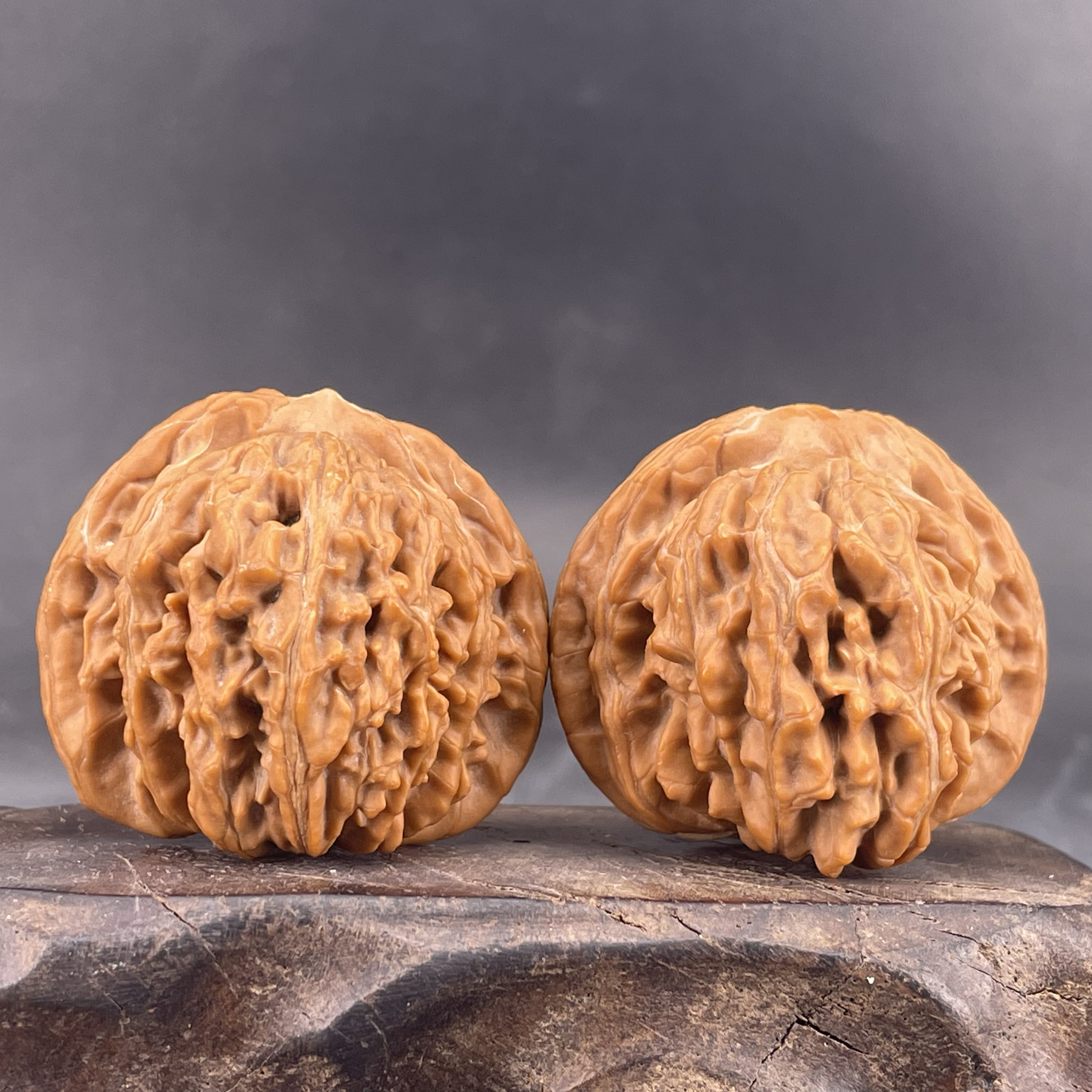 核桃表妹一代楼狮子头