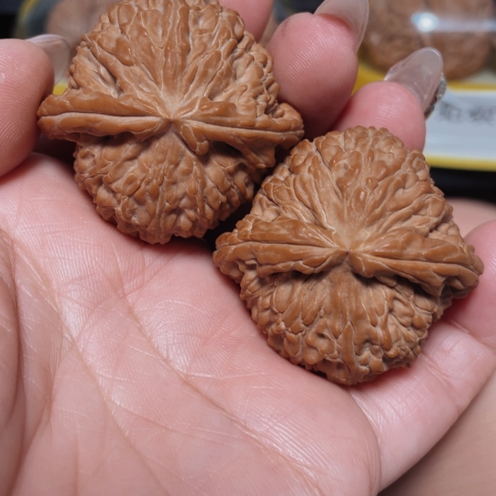 文玩核桃把件小*头白狮子42