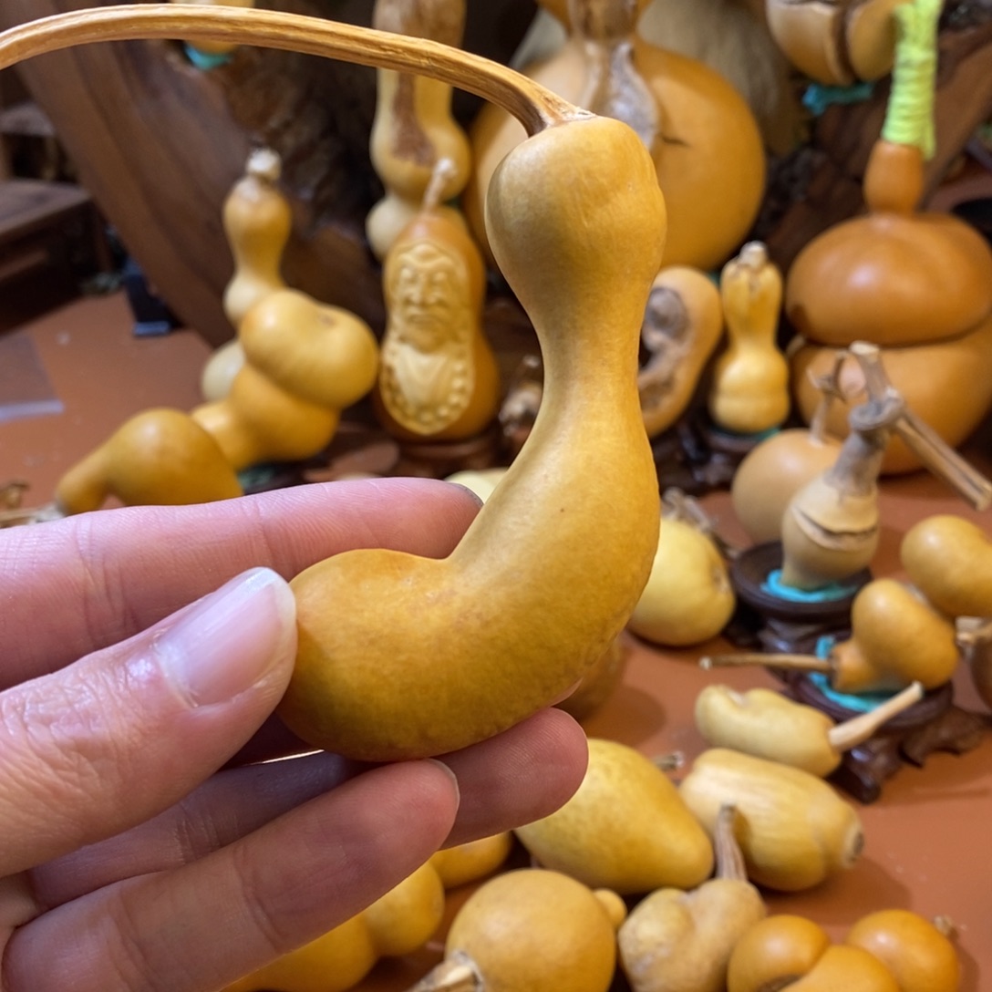 七***福桂林教练教练教练经理