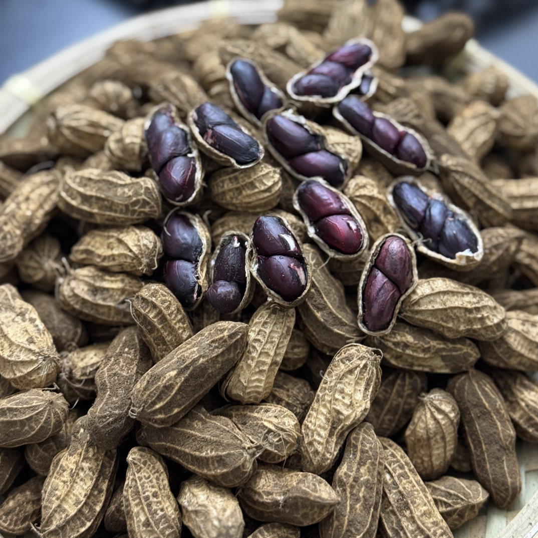 云南富硒带壳黑花生黑衣花生营养健康养胃零食生吃甘甜晒干