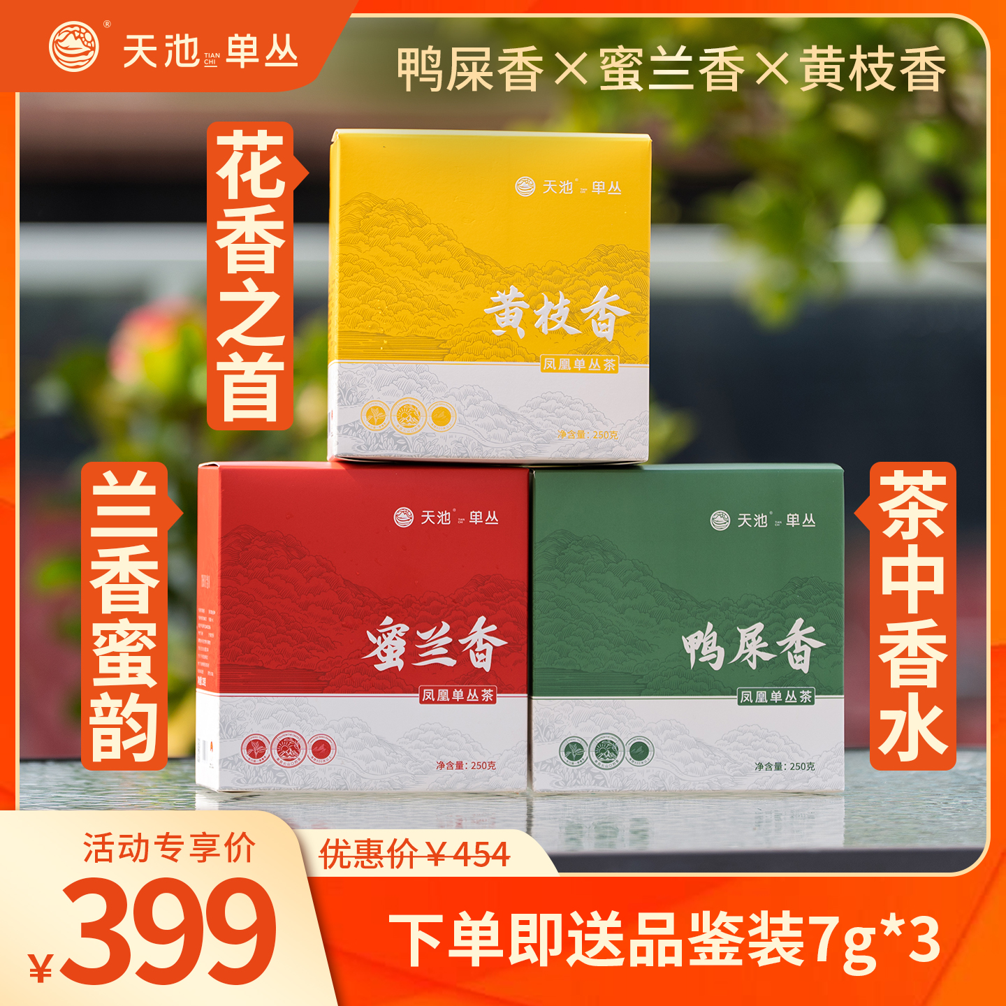 天池茶业凤凰单丛茶蜜兰香鸭屎香黄枝香凤凰展翅250g*3
