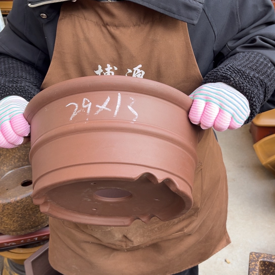 花盆紫砂盆景艺术