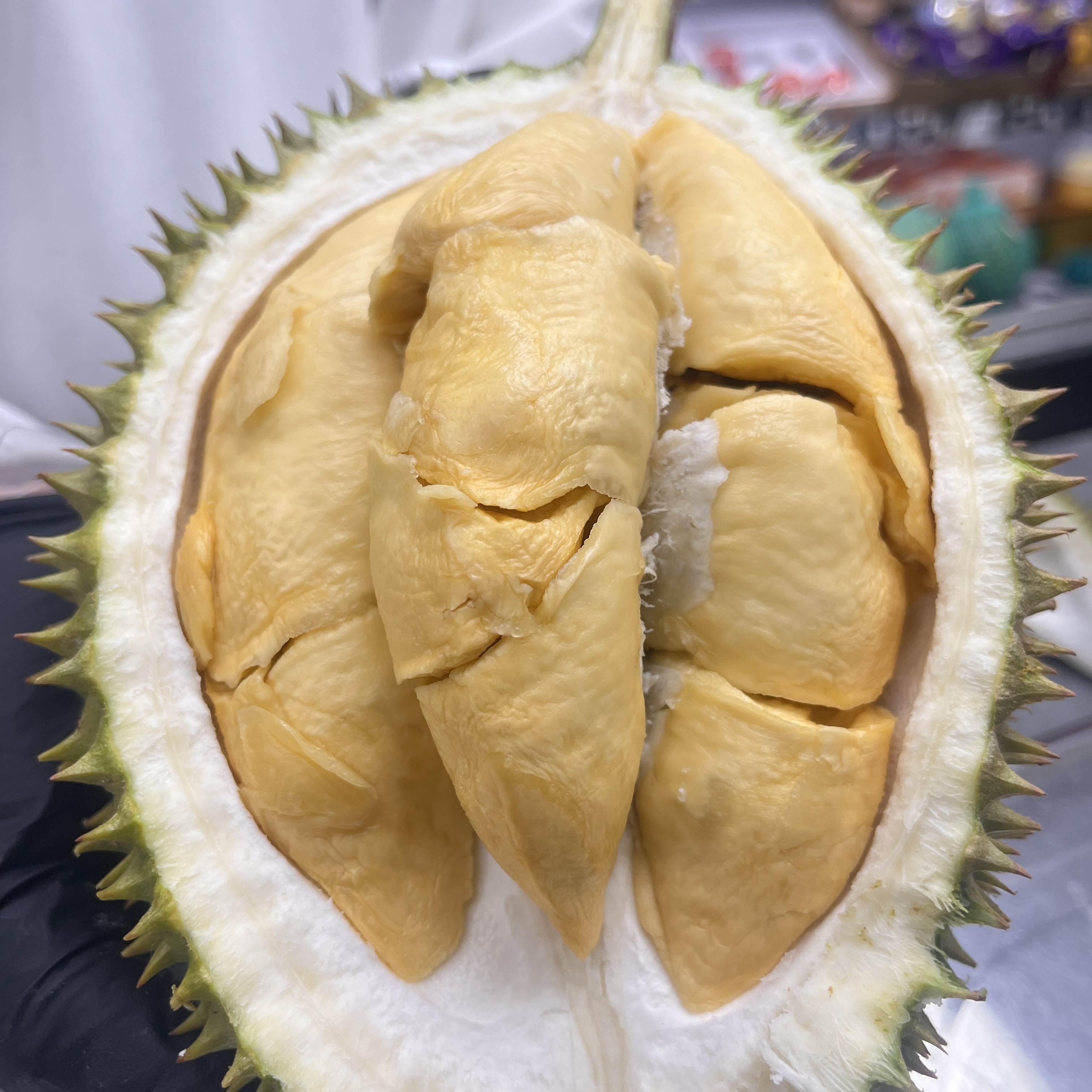 鲜果【D208江海】马来西亚新鲜榴莲1~5斤多规格［核大核小都有］江海马来西亚