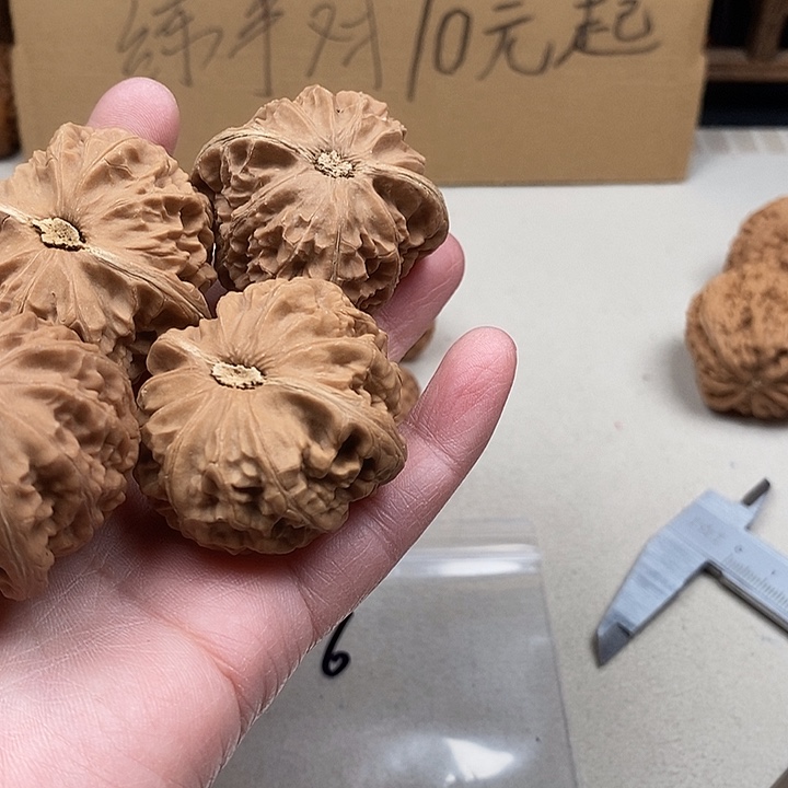 我****吊坠龙脊菩提306.306.306