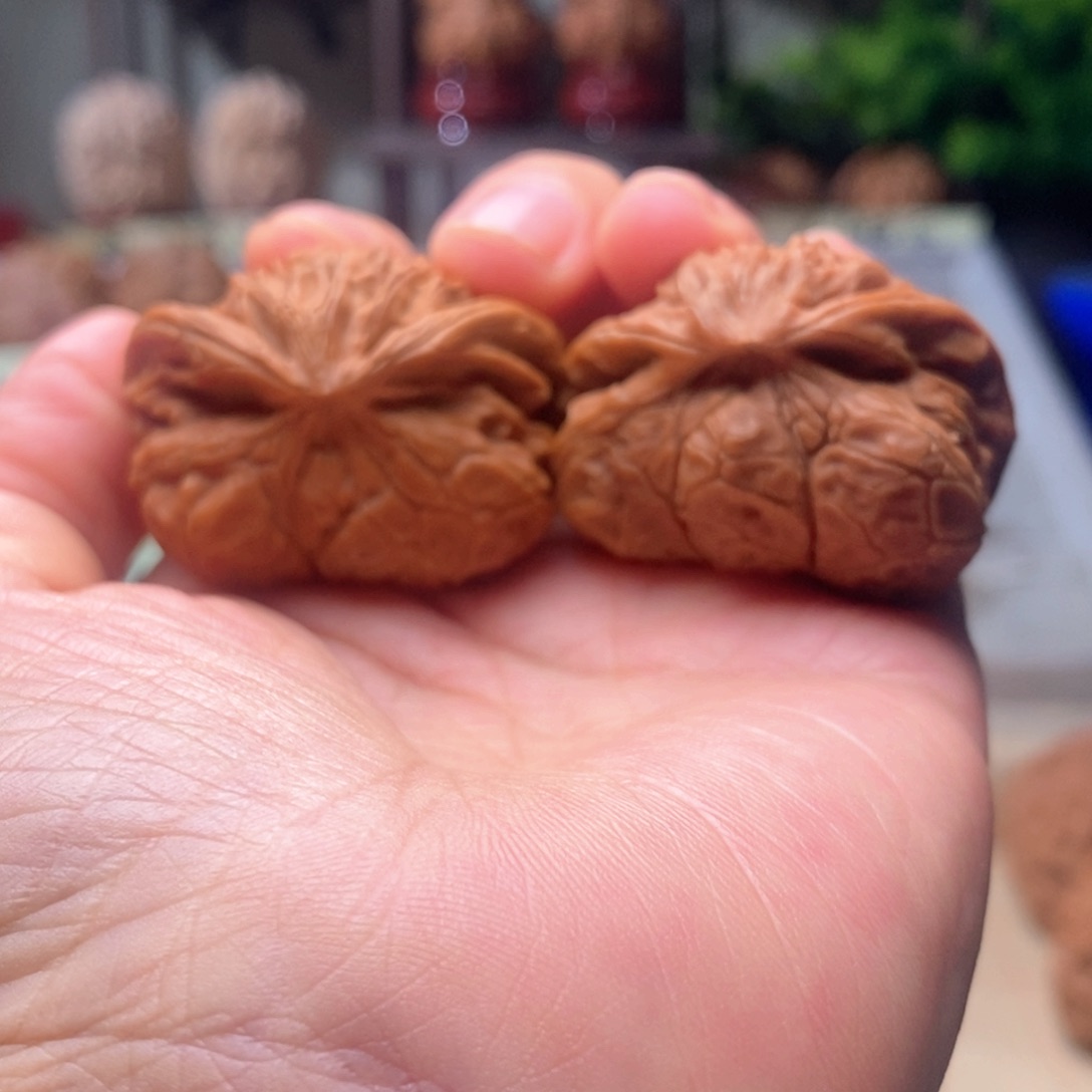 星***海把件文玩核桃宫灯蛇