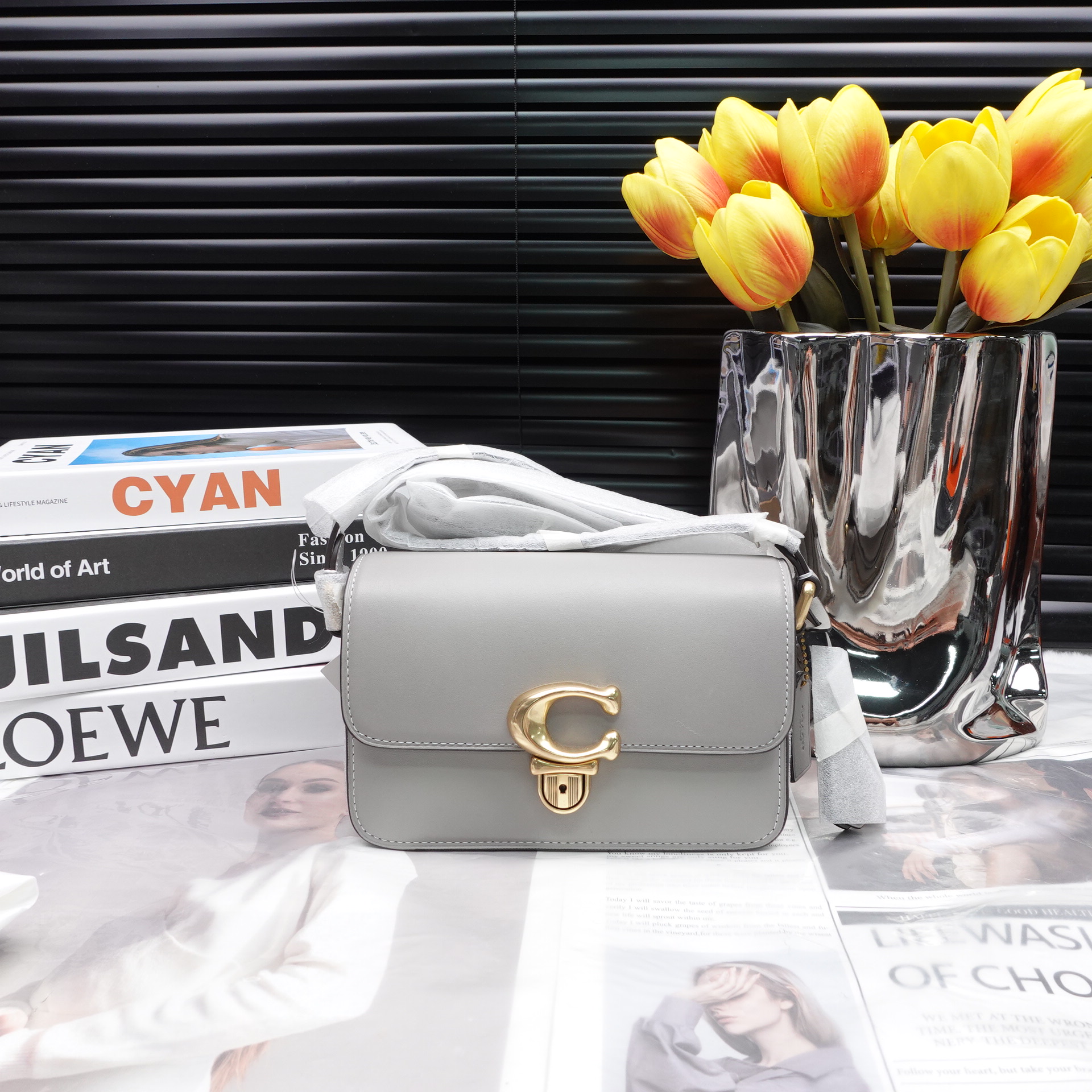 95新 COACH/蔻驰 单肩包/T10235003