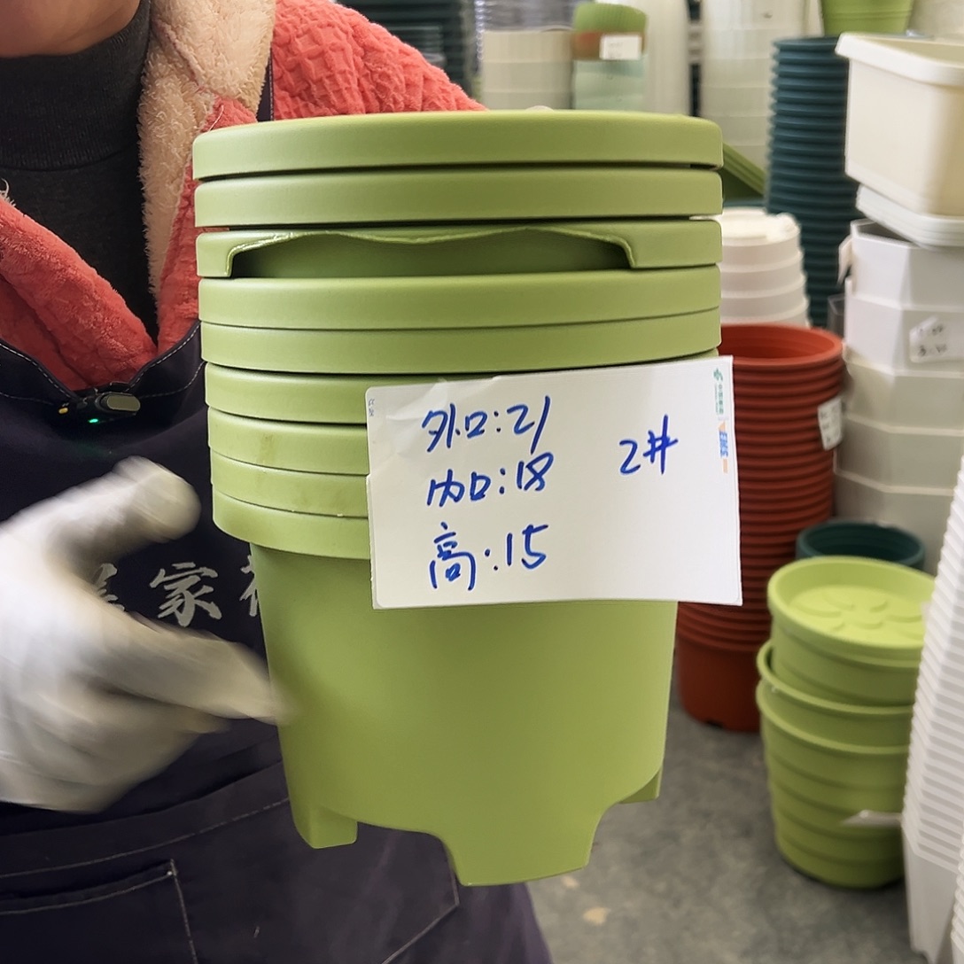 瑕疵球根盆2#果绿色10个无托