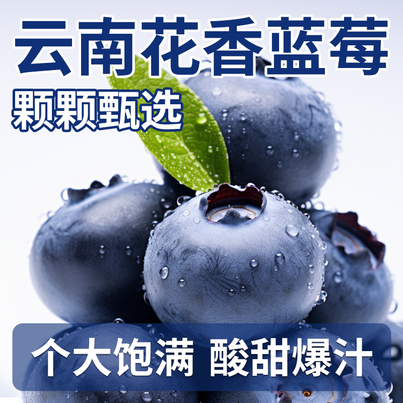 S1【顺丰京东】云南高山花香蓝莓鲜果新鲜水果当季整箱怡颗蓝梅大果