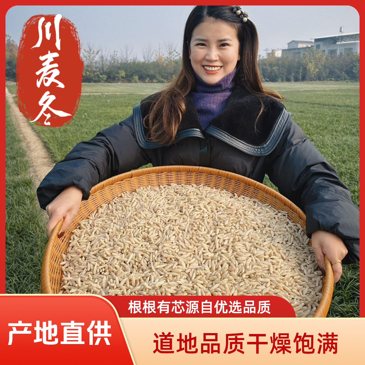 道地四川绵阳三台川麦冬大颗粒无硫泡水搭配黄芪滋补养生