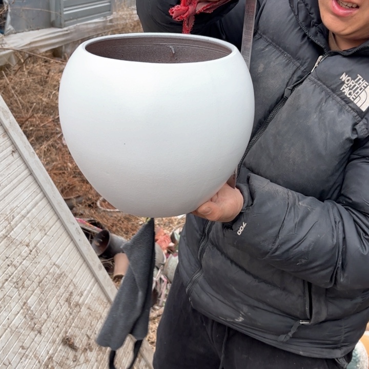 红陶口径 花盆 高度 20