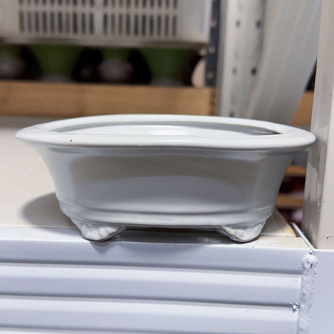 陶瓷花盆特价上新