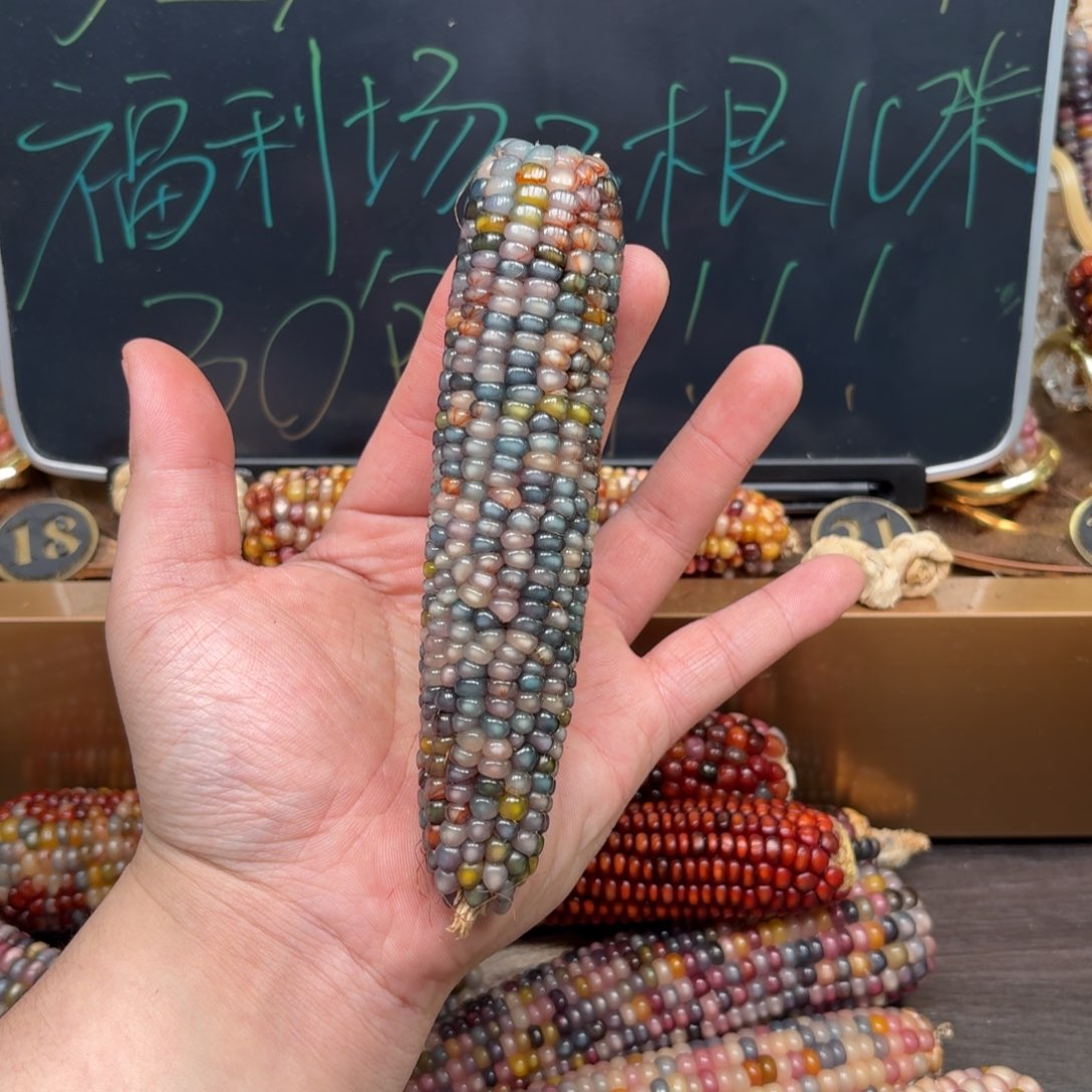 柏香籽/百香籽吊坠莎**儿