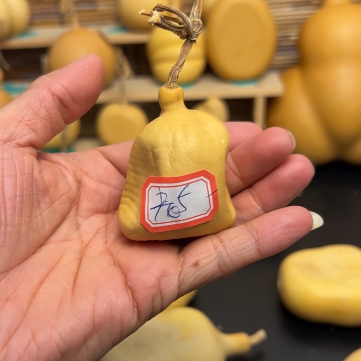 老****꧞葫芦葫芦葫芦葫芦葫芦葫芦