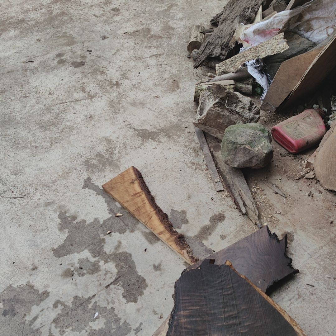 怪***鱼小叶桢楠金丝楠木