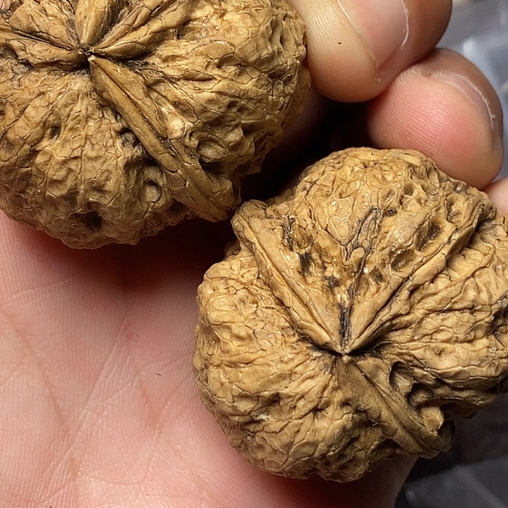 把件文玩核桃云南铁核桃14