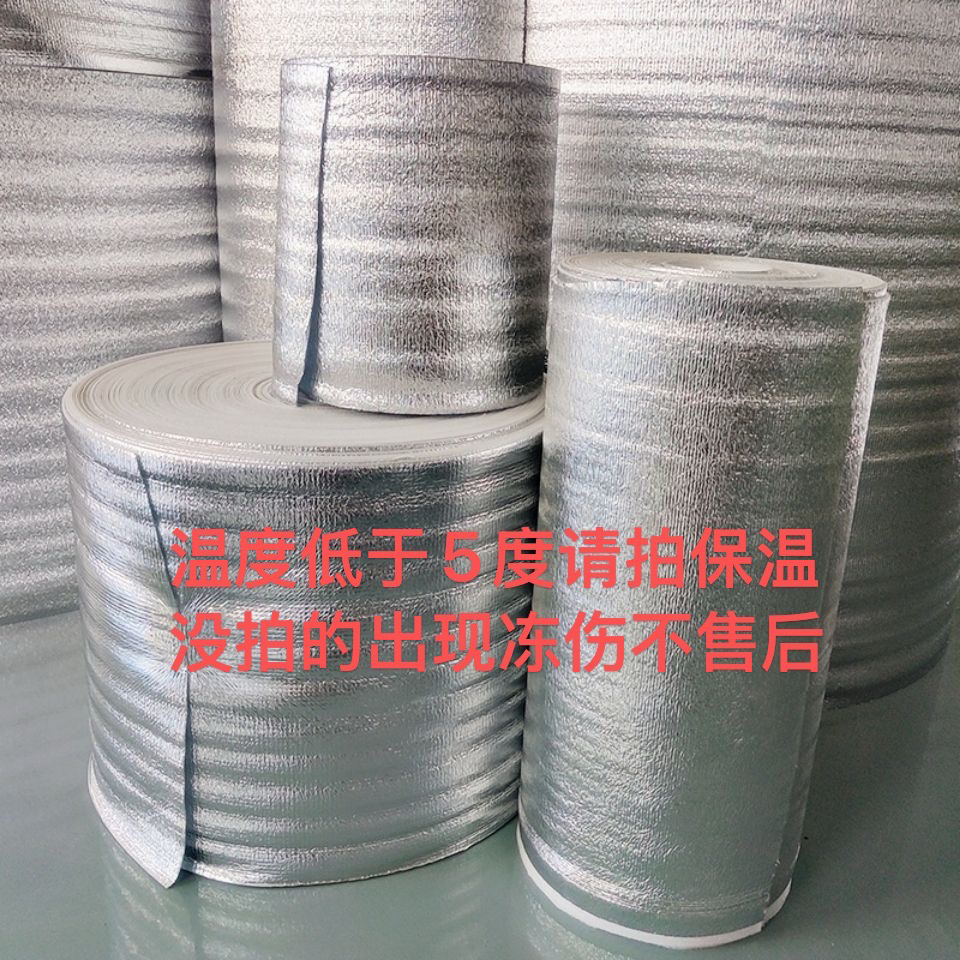 鹿角蕨保温棉抗冻