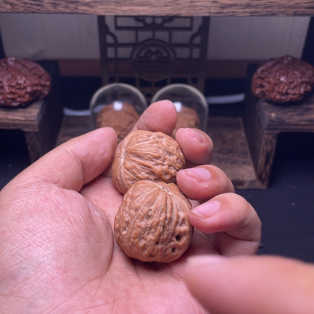 大叶紫檀（黑酸枝木类）