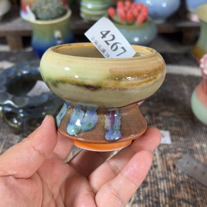 口6高6 未满30运费到付