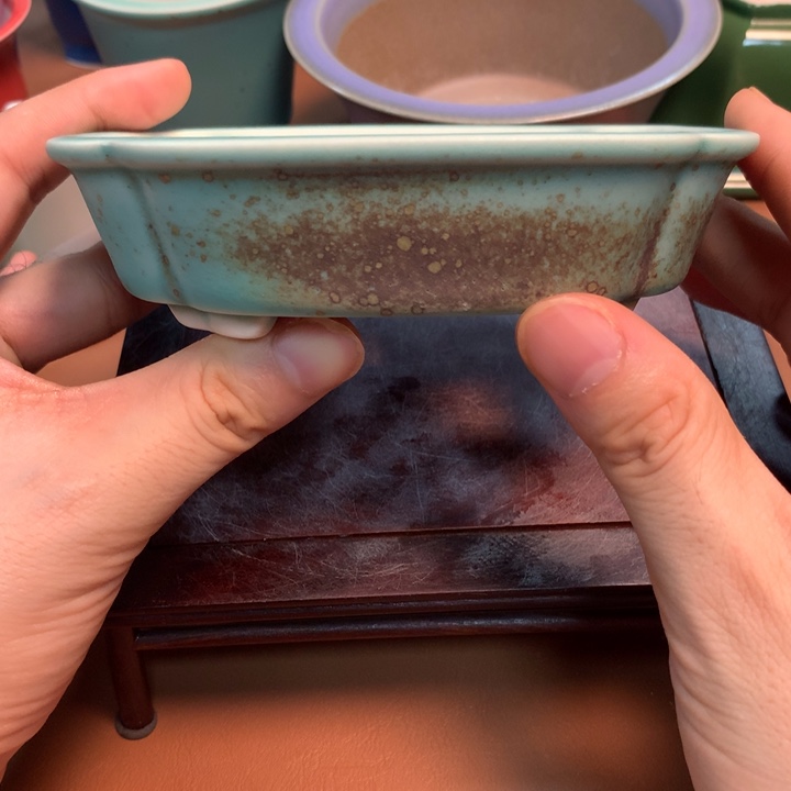 的微博视频你们知道