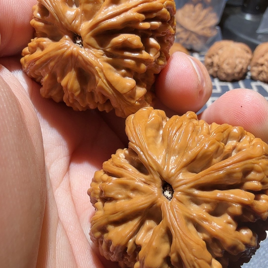 文玩核桃吊坠Y**Y虎头王