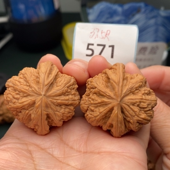 文玩核桃把件39全品大粗筋571