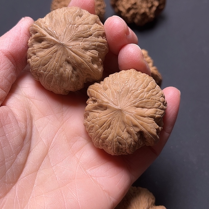 核桃白茶全品铁锤39+