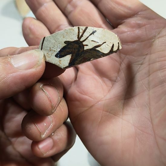 瓷片瓷片瓷片瓷片瓷片