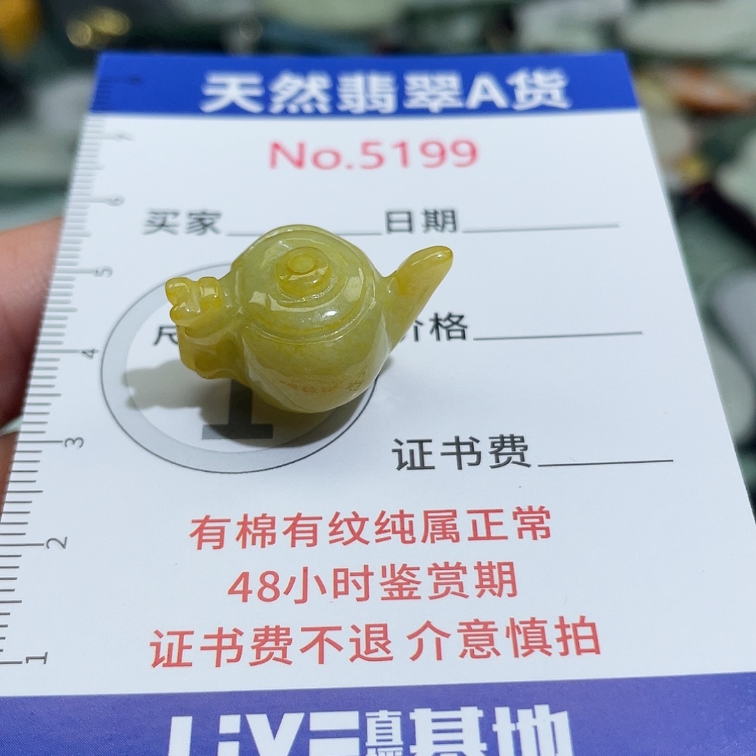 翡翠未镶嵌挂件5199