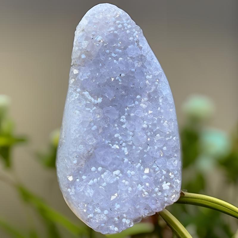 天然白水晶镇雪景啵啵共生摆件工艺品消除净化空间