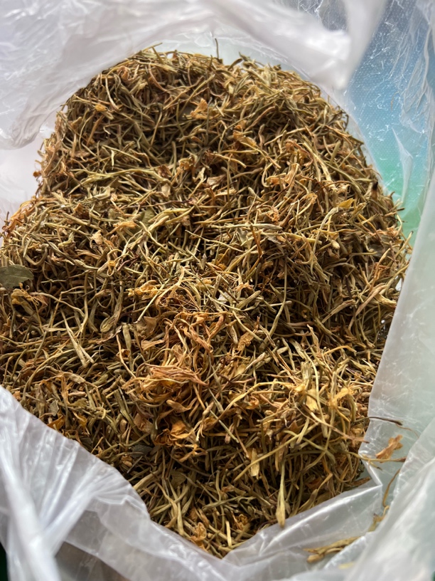 【蛟哥土特产】楠溪江金银花