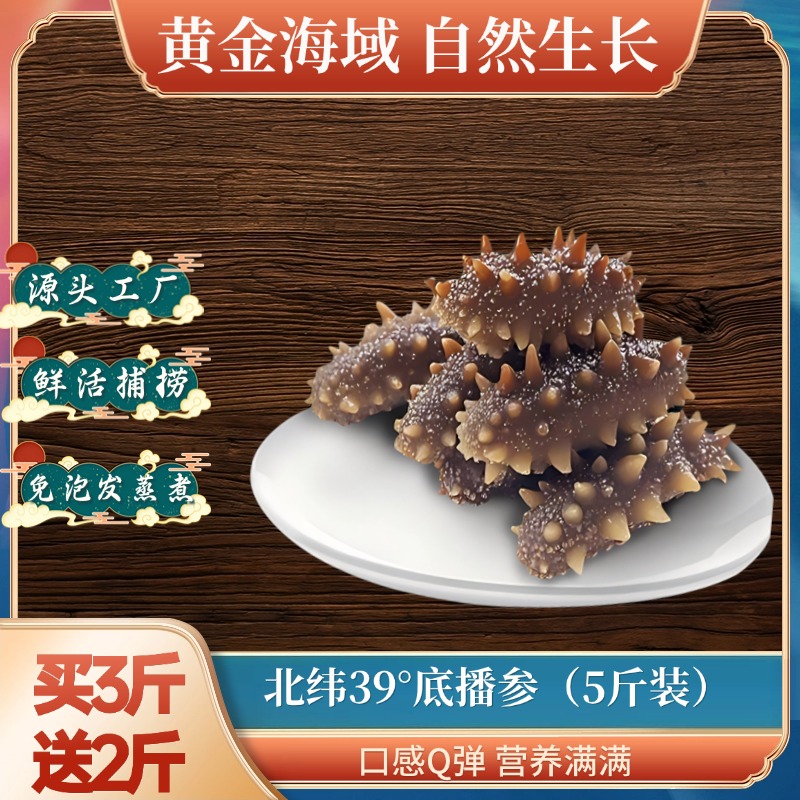 佰海源4-12头5斤装大连的甄选辽刺参鲜食海参海参正宗辽参