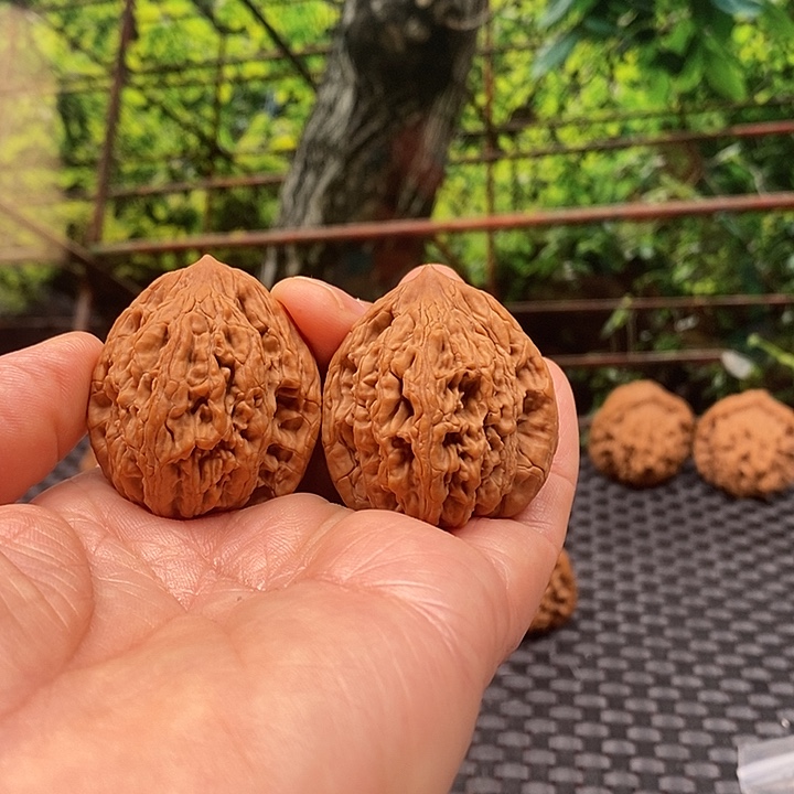 ️***舖大叶紫檀（黑酸枝木类）